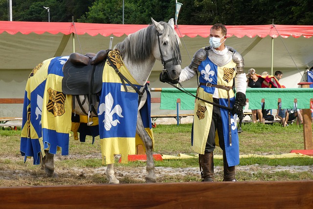 为了这场胜 为了这场胜