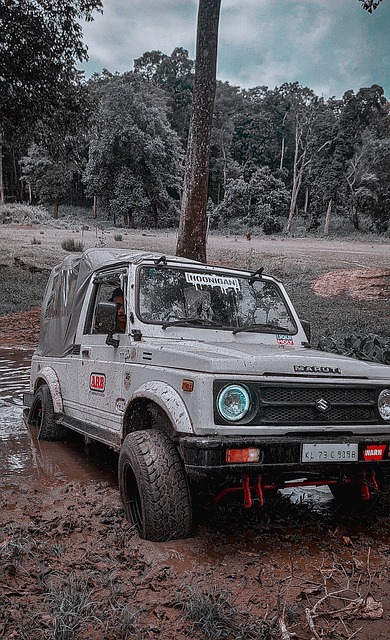 了自己的实 了自己的实