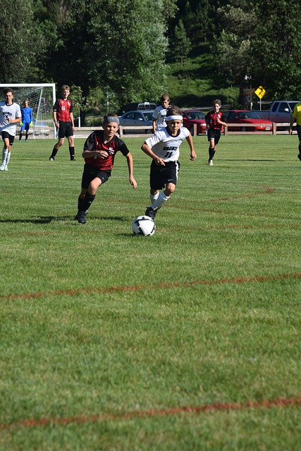 球迷的热议 球迷的热议